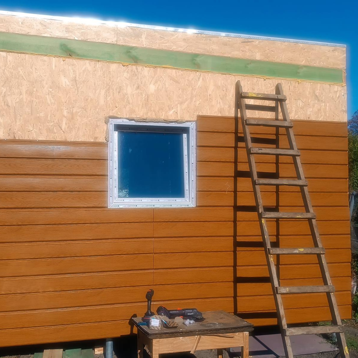 evrodoska-zolonoy-dyb-2