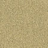 Ocher